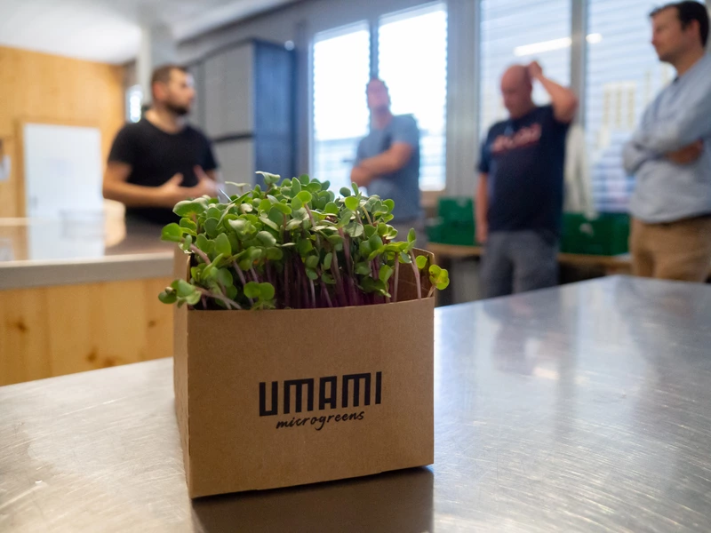 THE HALL zu Besuch bei UMAMI © THE HALL